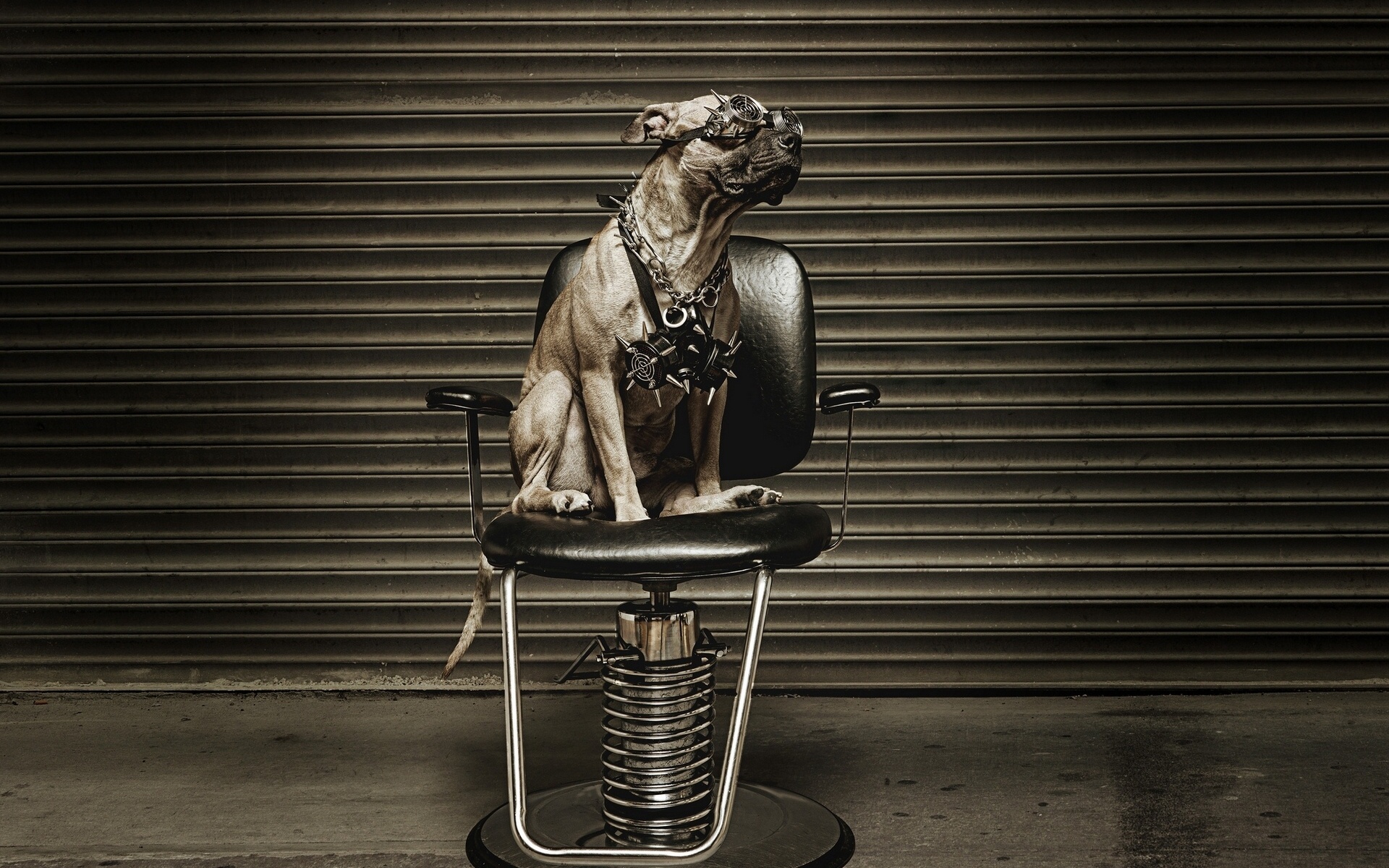 Beatles Brigade - Steampunk Girl