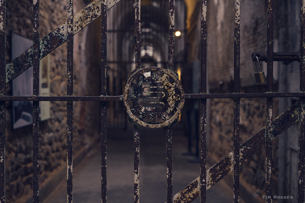 Beatles Brigade - Steampunk Girl