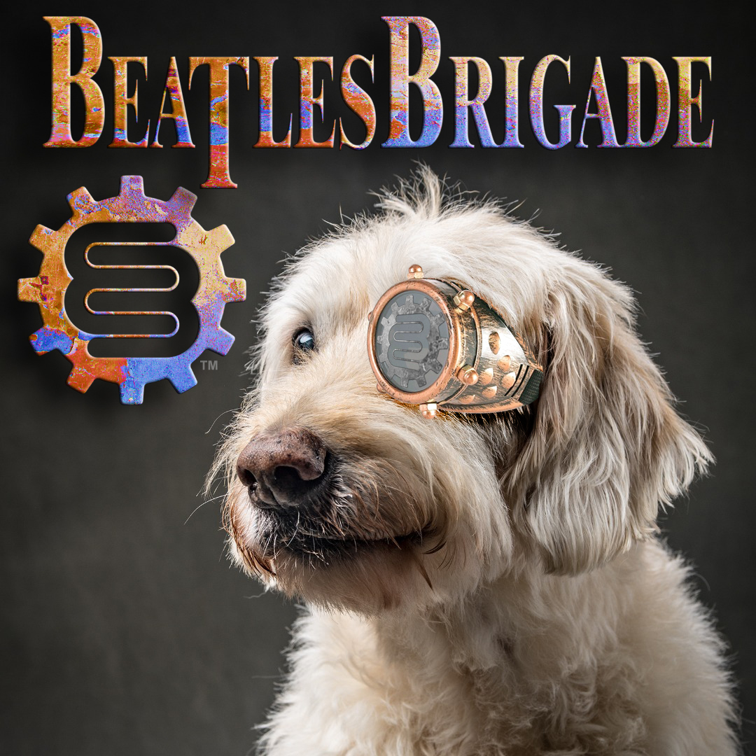 Beatles Brigade - Steampunk Girl